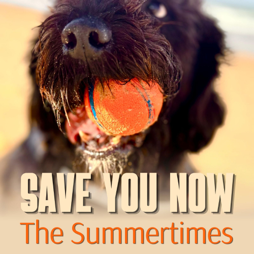 The Summertimes Announce New Single 'Save You Now'